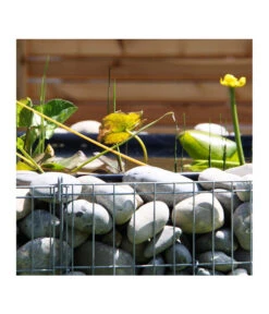 Bellissa Hochteich Bausatz, 146 X 146 X 40 Cm 10 Bellissa Hochteich Bausatz, 146 X 146 X 40 Cm -Gardena Verkäufe 1597145 WE DE 002 bellissaHochteichBausatz146x146x40cmGabione