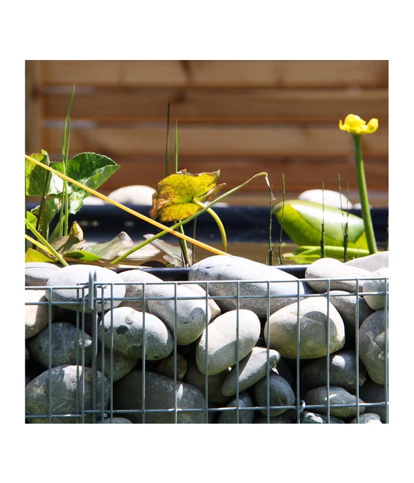 Bellissa Hochteich Bausatz, 146 X 146 X 40 Cm 6 Bellissa Hochteich Bausatz, 146 X 146 X 40 Cm – Bild 4