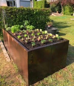 Palatino Cortenstahl-Hochbeet Urban -Gardena Verkäufe 2015055 WE MO 002 PalatinoHochbeetUrban200x100