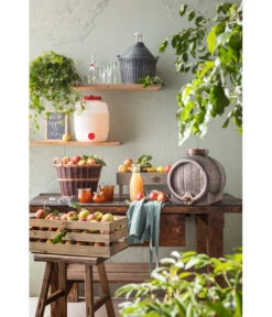 Glasballon Im Kunststoff-Schutzkorb -Gardena Verkäufe 207704 207712 207720 207738 207787 WE MO 001 GlasballonKunststoffSchutzkorb