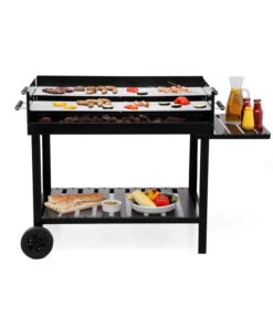 Tepro Holzkohle- Grillwagen Atlanta -Gardena Verkäufe 2190296 WE MO 001 GrillwagenAtlanta
