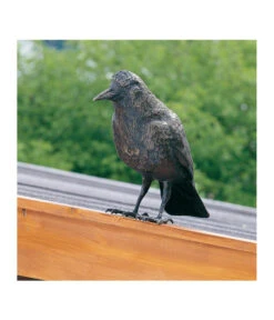 Rottenecker Bronzefigur Rabe Faustus 5 Rottenecker Bronzefigur Rabe Faustus -Gardena Verkäufe 2310209 WE FS 001 BronzerabeFaustus