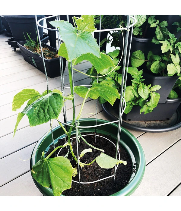 Bellissa Gurkenturm, 120 Cm - Ø 20 Cm 6 Bellissa Gurkenturm, 120 Cm - Ø 20 Cm – Bild 4