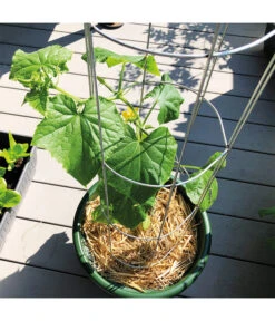 Bellissa Gurkenturm, 120 Cm - Ø 20 Cm 16 Bellissa Gurkenturm, 120 Cm - Ø 20 Cm -Gardena Verkäufe 2366649 WE DE 002 BellissaGurkenturm120cm