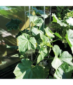 Bellissa Gurkenturm, 120 Cm - Ø 20 Cm 19 Bellissa Gurkenturm, 120 Cm - Ø 20 Cm -Gardena Verkäufe 2366649 WE DE 005 BellissaGurkenturm120cm