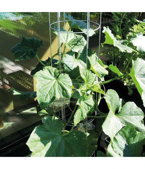 Bellissa Gurkenturm, 120 Cm - Ø 20 Cm 10 Bellissa Gurkenturm, 120 Cm - Ø 20 Cm – Bild 8