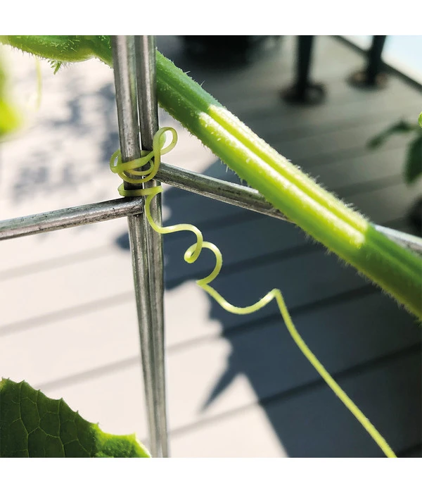 Bellissa Gurkenturm, 120 Cm - Ø 20 Cm 11 Bellissa Gurkenturm, 120 Cm - Ø 20 Cm – Bild 9