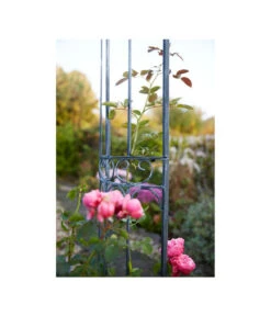 Dehner Metall-Rosenbogen Alina, Ca. B132/H233/T38 Cm 9 Dehner Metall-Rosenbogen Alina, Ca. B132/H233/T38 Cm -Gardena Verkäufe 2379659 WE MO 002 RosenbogenAlina