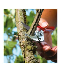 Wolf-Garten Wolf Gartenschere RR-EN 11 Wolf-Garten Wolf Gartenschere RR-EN -Gardena Verkäufe 239038 MO 004 GARTENSCHERERREN