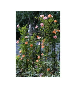 Dehner Premium Obelisk Odin -Gardena Verkäufe 2480069 2480093 2480119 WE MO 006 DehnerPremiumObeliskOdinRankhilfe