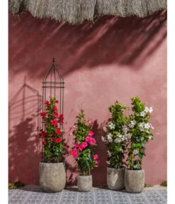 Dehner Premium Obelisk Odin -Gardena Verkäufe 2480069 2480093 2480119 WE MO 007 DehnerPremiumObeliskOdin