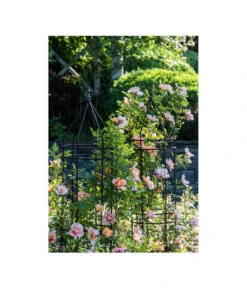 Dehner Premium Obelisk Odin -Gardena Verkäufe 2480069 2480093 2480119 WE MO 009 DehnerPremiumObeliskOdinRankhilfe