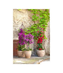 Dehner Halbobelisk -Gardena Verkäufe 2481976 2481596 2481927 WE MO 001 DehnerHalbobelisk 1