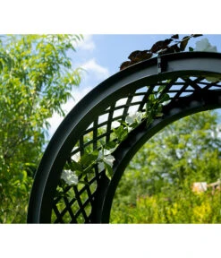 KHW Kunststoff-Gartenbank Mit Rosenbogen Amsterdam, Ca. B174/H207/T49 Cm -Gardena Verkäufe 2548717 WE DE 004 BankAmsterdammanthrazit