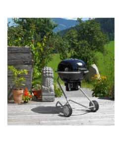 Rösle Holzkohle-Kugelgrill No.1 F50 AIR 10 Rösle Holzkohle-Kugelgrill No.1 F50 AIR -Gardena Verkäufe 2871754 WE MO 001 No1AirF50