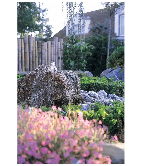 Oase Pumpe Aquarius Universal Classic 1500 9 Oase Pumpe Aquarius Universal Classic 1500 – Bild 7