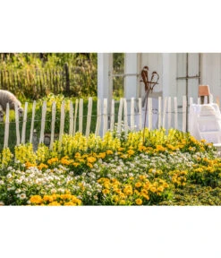 Naturzaun Haselnuss, Ca. 5 M 9 Naturzaun Haselnuss, Ca. 5 M -Gardena Verkäufe 3003936 WE MO 007 NaturzaunHaselnuss 5m