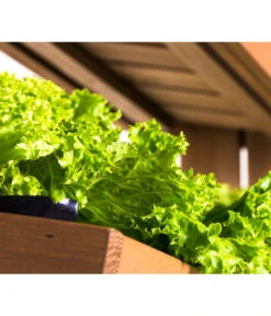 Hecht Hochbeet Cube 4, Ca. B82/H145/T50 Cm -Gardena Verkäufe 3060399 WE DE 003 HechtHochbeetCube4NEU