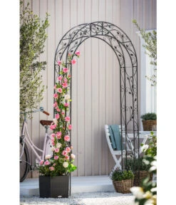 Dehner Metall-Rosenbogen Cornwall, Ca. B118/H236/T31 Cm 9 Dehner Metall-Rosenbogen Cornwall, Ca. B118/H236/T31 Cm -Gardena Verkäufe 3175122 WE MO 003 DehnerRosenbogenCornwall