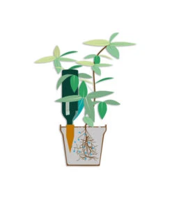 Bio Green Tonkegel Hydro Wine 9 Bio Green Tonkegel Hydro Wine -Gardena Verkäufe 3207032 WE DE 001 BioGreenTonkegelHydroWineUrlaubsbewaesserung