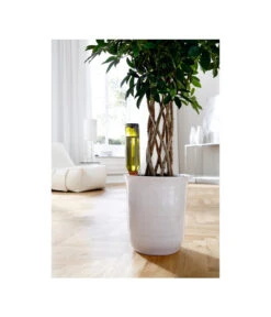 Bio Green Tonkegel Hydro Wine 7 Bio Green Tonkegel Hydro Wine -Gardena Verkäufe 3207032 WE MO 001 BioGreenTonkegelHydroWineUrlaubsbewaesserung