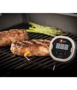 Weber® IGrill 2 Mit Zwei Messfühlern -Gardena Verkäufe 3210796 WE MO 002 IgrillIIZweiMessfuehler