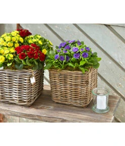 Van Der Leeden Rattan-Topf, Eckig, Grau-braun 16 Van Der Leeden Rattan-Topf, Eckig, Grau-braun -Gardena Verkäufe 3528668 3529468 3529930 WE MO 002 RattanTopfeckiggraubraun