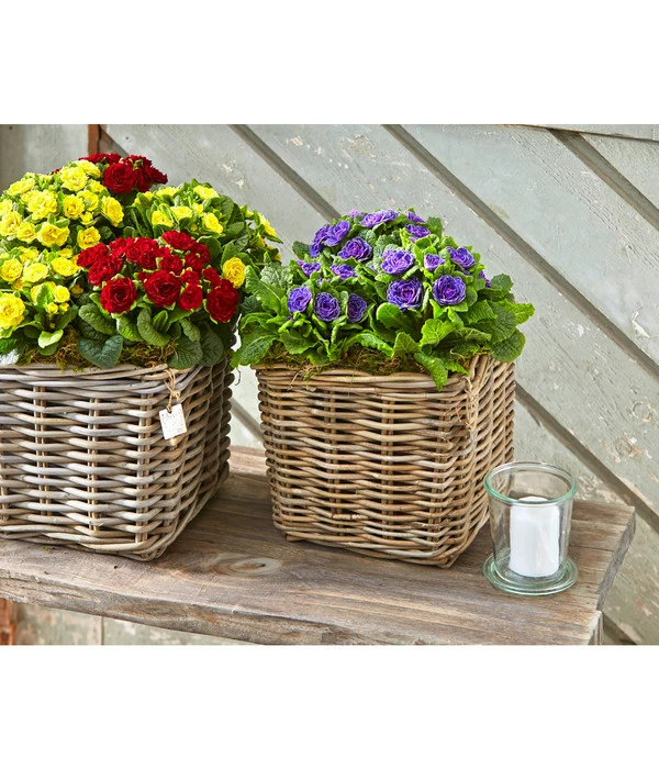 Van Der Leeden Rattan-Topf, Eckig, Grau-braun 5 Van Der Leeden Rattan-Topf, Eckig, Grau-braun – Bild 3