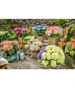 Van Der Leeden Rattan-Topf, Eckig, Grau-braun 19 Van Der Leeden Rattan-Topf, Eckig, Grau-braun -Gardena Verkäufe 3528668 3529468 3529930 WE MO 005 RattanTopfeckiggraubraunBlumentopf