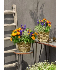 Van Der Leeden Rattan-Topf, Eckig, Grau-braun 21 Van Der Leeden Rattan-Topf, Eckig, Grau-braun -Gardena Verkäufe 3528668 3529468 3529930 WE MO 006 RattanTopfeckig