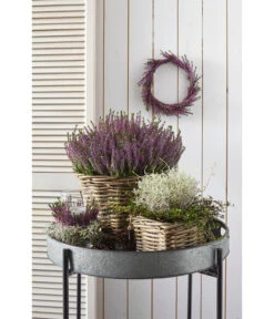 Van Der Leeden Rattan-Topf, Eckig, Grau-braun 24 Van Der Leeden Rattan-Topf, Eckig, Grau-braun -Gardena Verkäufe 3528668 3529468 3529930 WE MO 009 RattanTopfeckig