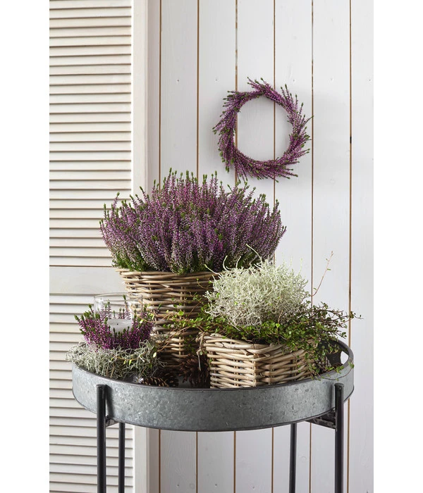 Van Der Leeden Rattan-Topf, Eckig, Grau-braun 13 Van Der Leeden Rattan-Topf, Eckig, Grau-braun – Bild 11