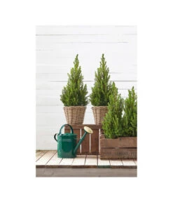 Rattan-Topf, Rund, Grau-braun -Gardena Verkäufe 3679347 3679362 3679578 WE MO 003 Rattantopf