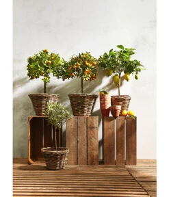 Rattan-Topf, Rund, Grau-braun -Gardena Verkäufe 3679347 3679362 3679578 WE MO 023 RattanTopfrundbraun
