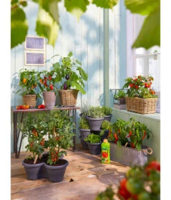 Rattan-Topf, Rund, Grau-braun -Gardena Verkäufe 3679347 3692761 5215942 1524404 WE MO 001 RattantopfRattankastenKunststofftopfCorsicaDehnerBioGemueseduenger