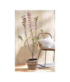 Rattan-Topf, Rund, Grau-braun -Gardena Verkäufe 3679347 PR MO 005 RattanTopf