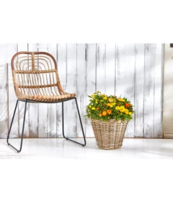 Van Der Leeden Rattan-Korb Mit Henkeln, Rund, Grau-braun -Gardena Verkäufe 3679602 3679727 3679735 WE MO 002 RattanKorbmitHenkelnrundgraubraun