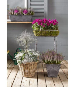 Van Der Leeden Rattan-Korb Mit Henkeln, Rund, Grau-braun -Gardena Verkäufe 3679602 3679727 3679735 WE MO 018 RattanKorbmitHenkelnrundgraubraunKorb