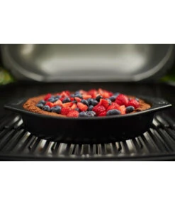 Weber Elektrogrill Pulse 2000 Black -Gardena Verkäufe 4073169 WE MO 005 WEBER ELEKtROG PULSE 2000