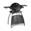 Weber Gasgrill Q 1200 Mit Stand, Ca. B104/H120/T60 Cm -Gardena Verkäufe 4073227 WE FS 001 GasgrillQ1200MitStand