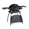 Weber Gasgrill Q 2200, 55 X 39 Cm -Gardena Verkäufe 4073243 WE FS 001 GasgrillQ2200MitStand