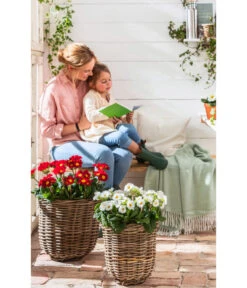 Van Der Leeden Rattan-Pflanzkorb, Grau-braun -Gardena Verkäufe 4111183 WE MO 005 Rattankorb