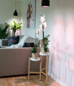 Venso LED-Pflanzenlampe Indoor Plants, 6 W -Gardena Verkäufe 4179438 WE MO 001 PflanzenlampeIndoorPlants6W2