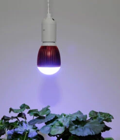 Venso LED-Pflanzenlampe Winter, 7 W -Gardena Verkäufe 4179453 WE MO 001 PflanzenlampeWinter7Watt
