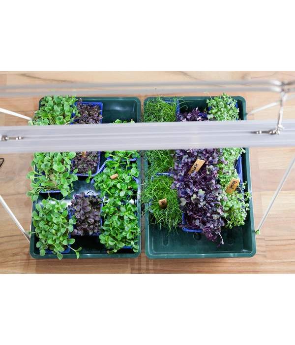 Venso LED-Anzuchtlampe GrowLight Duo 7 Venso LED-Anzuchtlampe GrowLight Duo – Bild 5