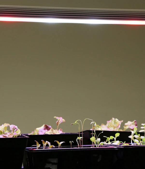 Venso LED-Anzuchtlampe GrowLight Duo 12 Venso LED-Anzuchtlampe GrowLight Duo – Bild 10