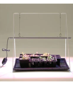 Venso LED-Anzuchtlampe GrowLight Duo 26 Venso LED-Anzuchtlampe GrowLight Duo -Gardena Verkäufe 4179610 WE MO 007 AnzuchtlampeGrowLightDuo