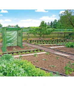 Dehner Tomatenreifehaus, Ca. B170/H190/T80 Cm 9 Dehner Tomatenreifehaus, Ca. B170/H190/T80 Cm -Gardena Verkäufe 4180121 WE MO 001 TomatenreifehausDehnerGewaechshaus