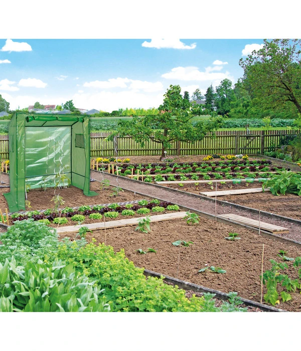 Dehner Tomatenreifehaus, Ca. B170/H190/T80 Cm 5 Dehner Tomatenreifehaus, Ca. B170/H190/T80 Cm – Bild 3