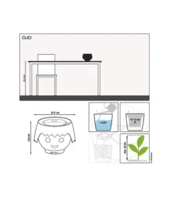 LECHUZA® OJO All-in-One-Set, Ca. Ø21/H15,8 Cm -Gardena Verkäufe 4305199 4305918 6962302 4305926 6962310 6962328 WE MO 01 OjoPinkGruenBlauRotSchw